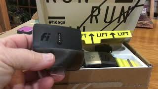 GPS for Dogs comparison: Whistle, Fi, and Tractive