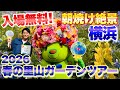 【入場無料】横浜最大級1万㎡の絶景大花壇｜朝焼けに染まる春の里山ガーデンツアー(育て方のコツも解説) 【ガーデンネックレス横浜】