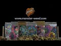 Monster weed  ton dealer de cbd