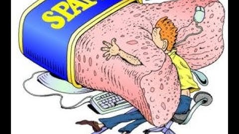 Best Anti-Spam Wordpress Plugin: How To Block Spam Comments? Watch This First!