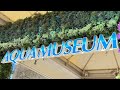 Sea Paradise | Aqua Museum | Fireworks | YOKOHAMA 