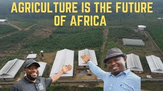 He Left USA After 10 Years And Came Back To Africa To Establish Integrated Green House Farms.