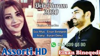 Aynur Goycayli ft Elxan Bineqedi - Deli Oluram  Resimi