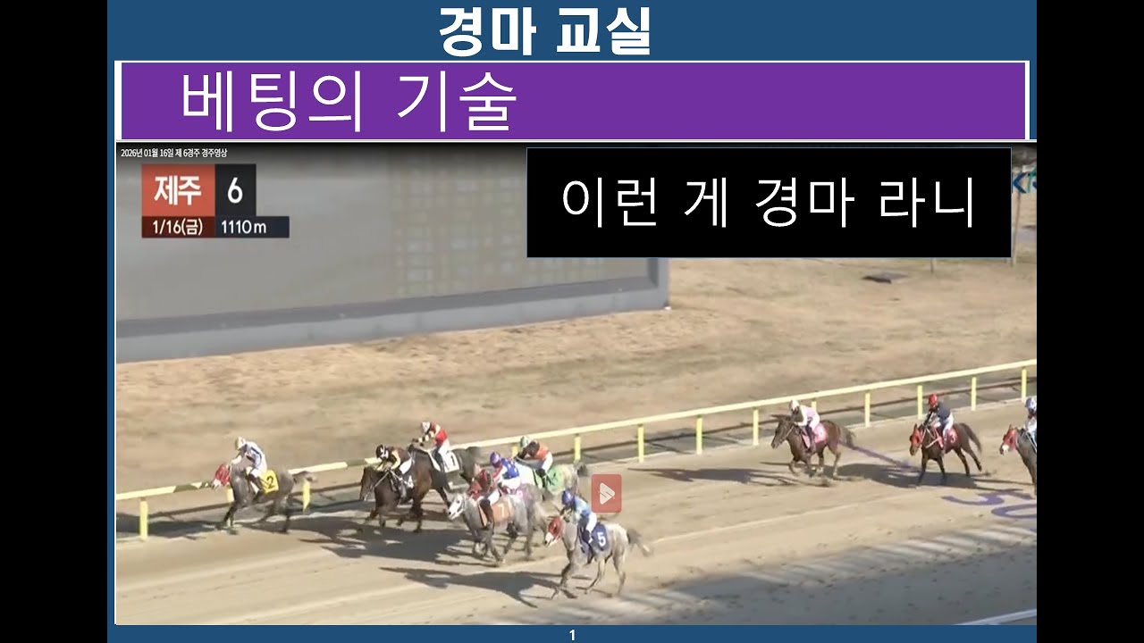 베팅의 기술/  경마교실 /경마분석/ 경마공부/ 경마예상