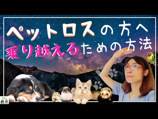 ペットロスの方 周りの方へ 辛くなったときに見てください ペットロスを乗り越えるための３つの方法 Youtube