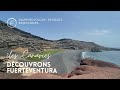 A la dcouverte de fuerteventurailes canaries excursions volcan dauphins