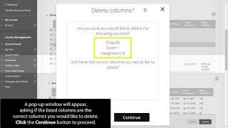 Deleting Multiple Grade Center Columns
