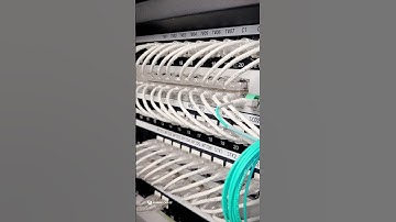 Network Cable Installation with the Running Cables Team! #electrician #cablemanagement #electrical