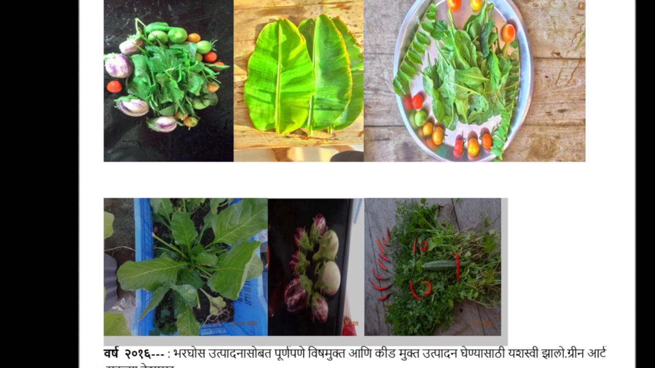 Teres Garden In Marathi Fasci Garden