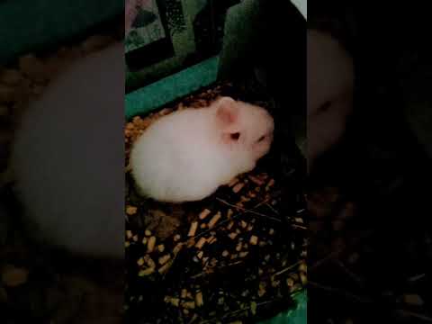 гулять - YouTube