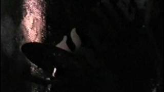 Adversam - Unfairy-Tale