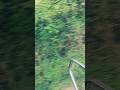 2 ghode #newsong #remix #dailyvlog #youtubeshorts #ytshorts