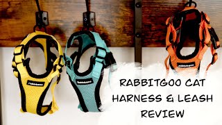 Rabbitgoo Cat Harness & Leash Review  BEST CAT HARNESS FOR 2022