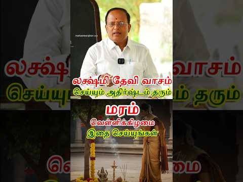 மக லட ச ம கட ட சம க ட க க வ ள ள க க ழம ச ய ய ங கள Mahasreerajhan Mavasiva