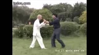 Li Hesheng   李和生 Yangstyle