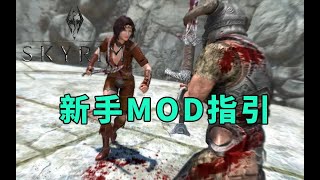 【重回天际】《上古卷轴5》从安装到基础常用MOD盘点
