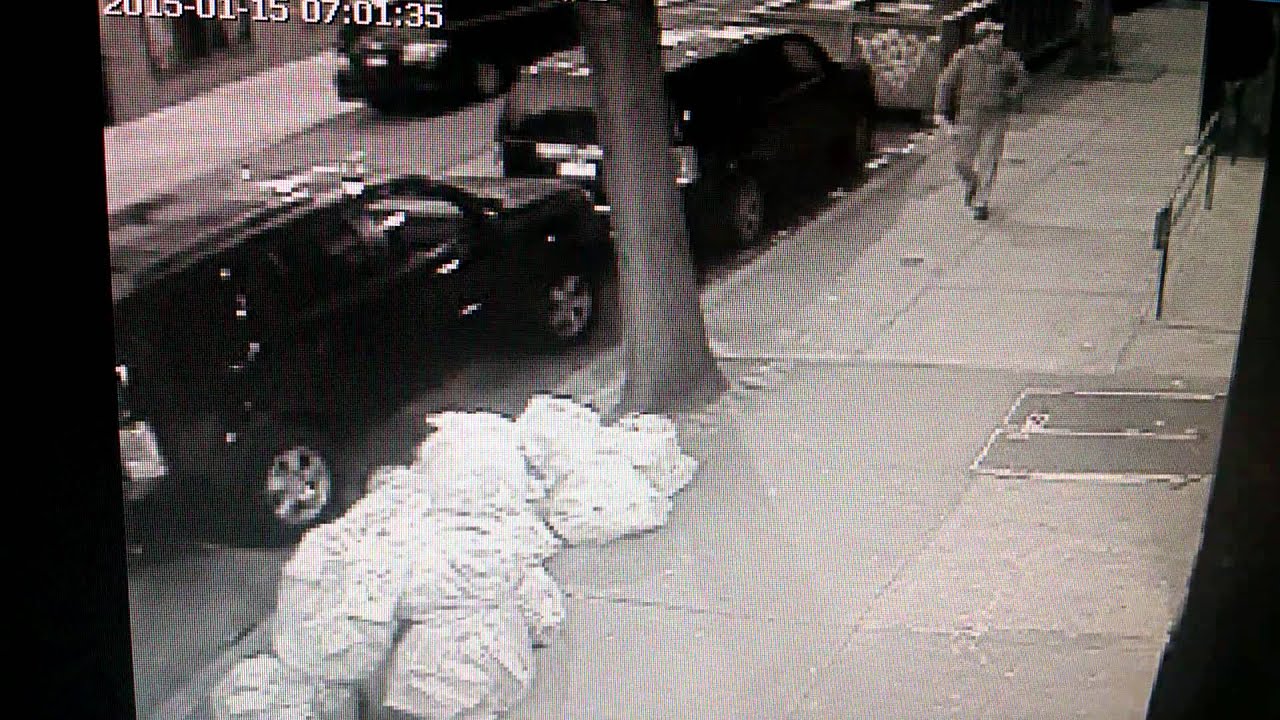 Corrupt NYC Sanitation Worker YouTube corrupt-nyc-sanitation-worker-youtube