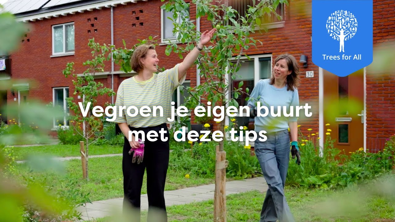 Je eigen buurt vergroenen? Deze tips helpen je! 🌱