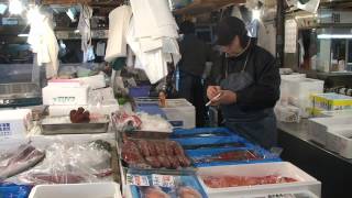 Niezwykly Swiat Japonia Tokio Targ Rybny Tsukiji Cz 1 Youtube
