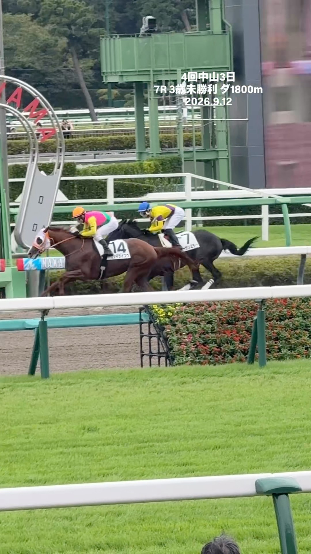 大野拓弥騎手 15勝目 カシマライフウ シュヴァルグラン産駒 4回中山3日