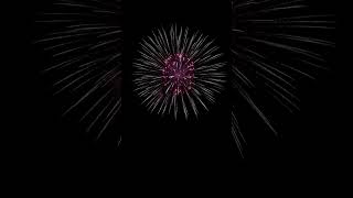 Ds08 8Inch Brocade Crown With Red Strobe Pistil