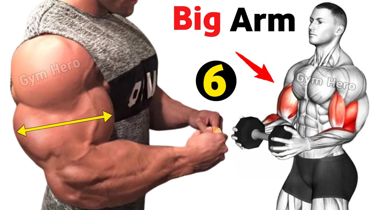 Ultimate Biceps & Triceps Workout - Get Big Arms Fast - YouTube