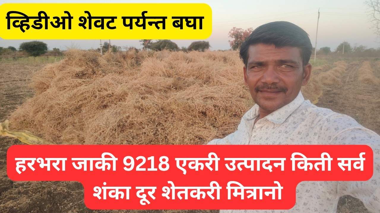 हरभरा जाकी 9218 एकरी उत्पादन किती सर्व शंका दूर शेतकरी मित्रानो @ApliMati