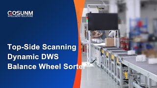 Top-side Scanning Dynamic DWS Balance Wheel Sorter