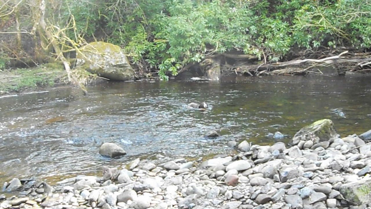Doune Ardoch Burn near Doune Castle, Stirling Scotland YouTube