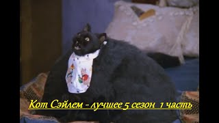 Кот Сэйлем - лучшие 5 сезон 1 часть (Сабрина - маленькая ведьма)