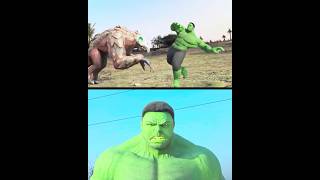 Hollywood Hulk Transformation In Real Life Best Of Yso -