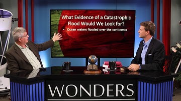 WWN Dr Andrew Snelling - The Flood:  Fossils & Rocks OFFICIAL TRAILER 4K