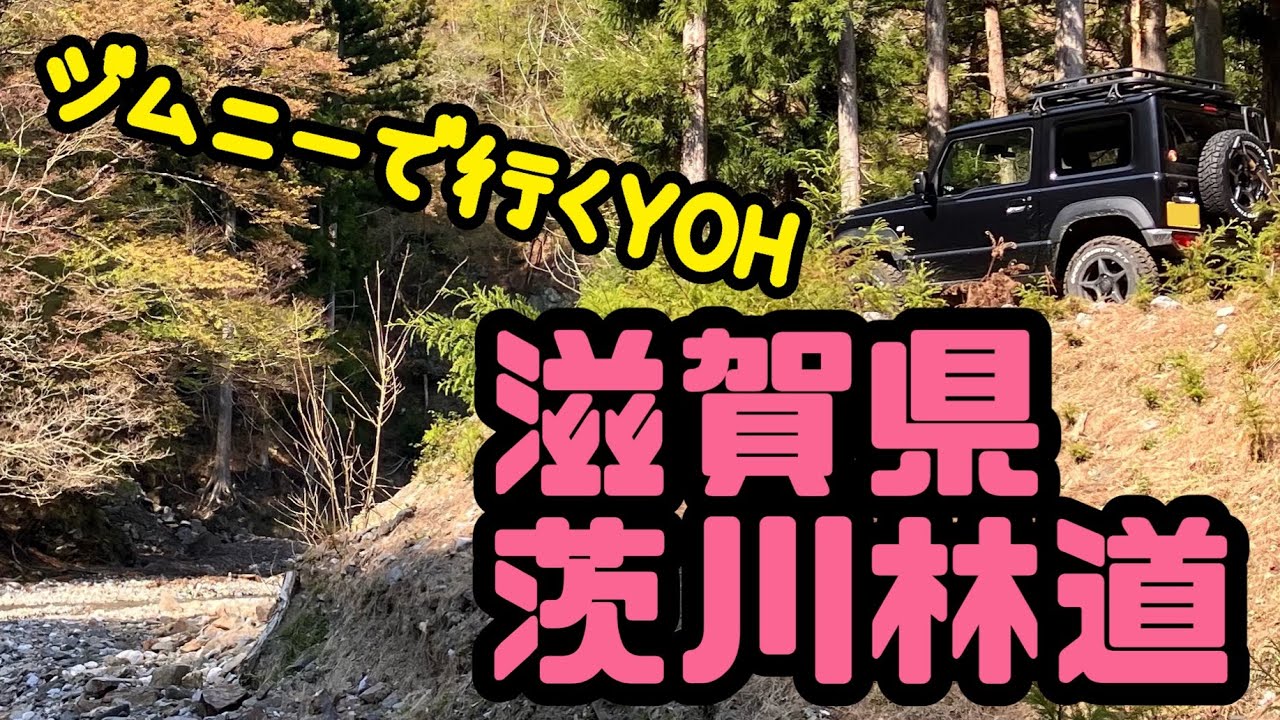 （ジムニー林道ドライブ）初心者におすすめ！　滋賀県東近江市　茨川林道