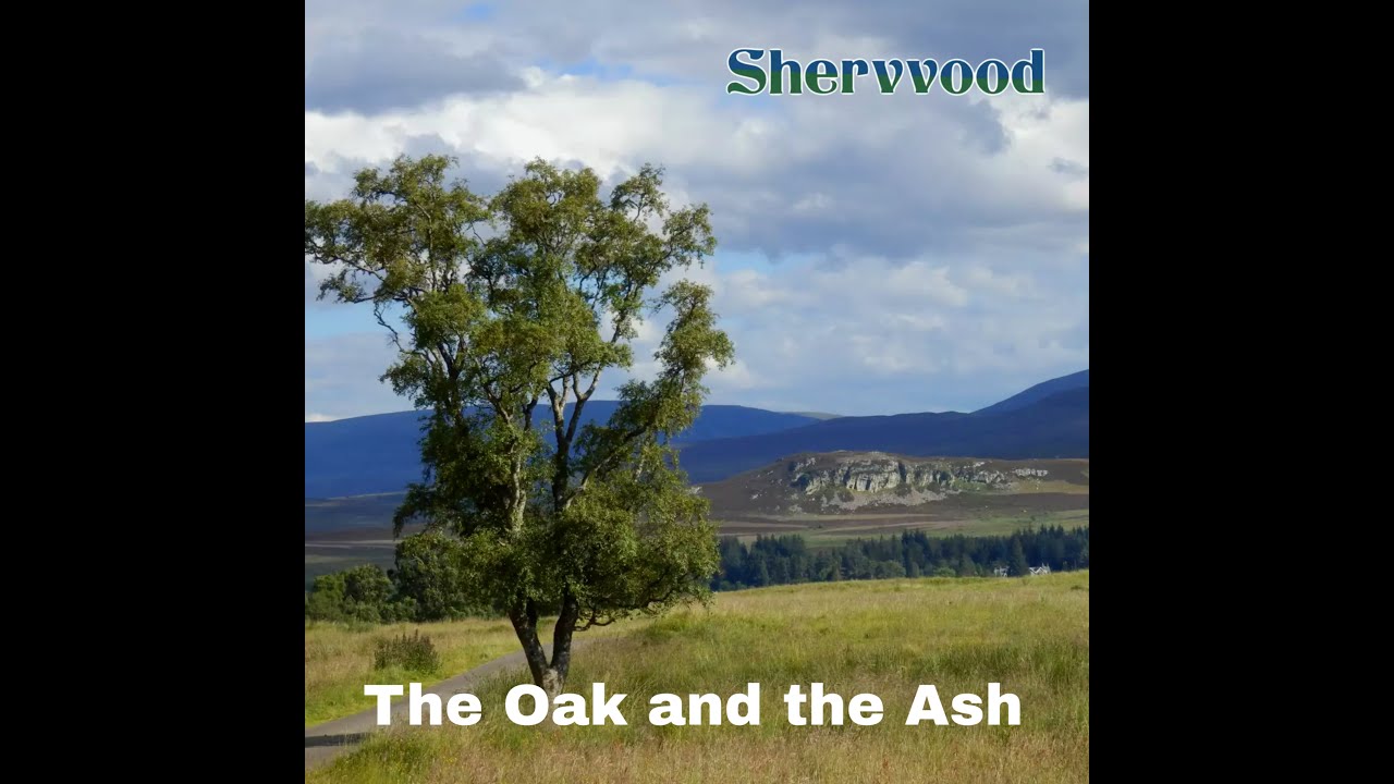 The Oak and the Ash/upcoming song release of Shervvood band.
