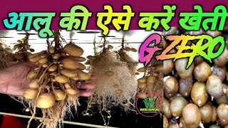 आलू की इस तरह करें खेती होगी लाखों रुपए की इनकम।G ZERO KHETI| आलू की नई किस्मे।