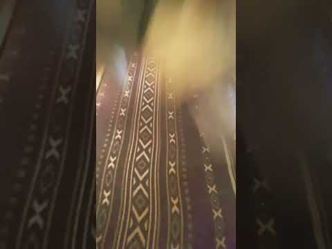 لا تنصدمو مين هاد الي جمبي الي طلعت وجه اخر الفيد هذا ابن خلتي