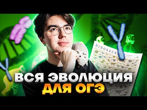 Все доказательства эволюции для ОГЭ | Биология ОГЭ 2023 | Умскул