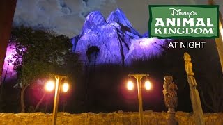 Animal Kingdom at night! -12 Days of Disney Parks Vlogs! (Day 3 Part 5) | BrandonBlogs