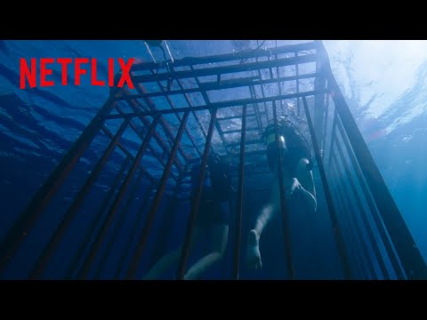 恐怖体験 - 海洋恐怖症の人は絶対に見ないでください | 海底47m | Netflix Japan