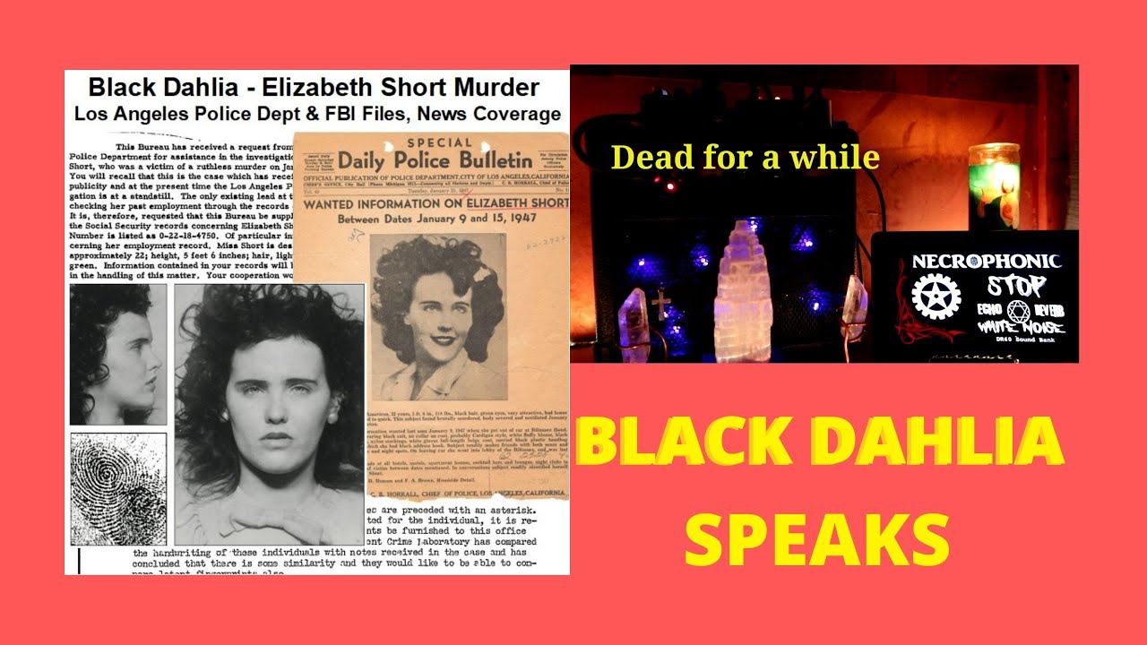 Elizabeth Short The Black Dahlia Speaks Using The Necrophonic App 