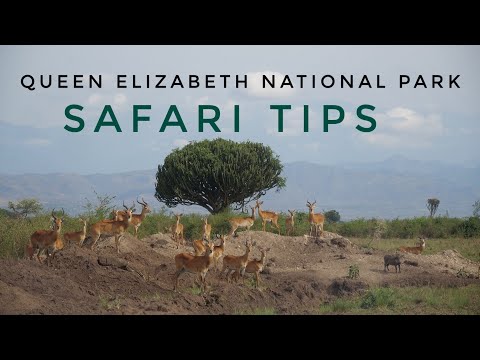 Video: Queen Elizabeth National Park: The Complete Guide