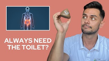 Is Your Bladder Controlling Your Life? The Gut-Brain-Bladder Connection Explained