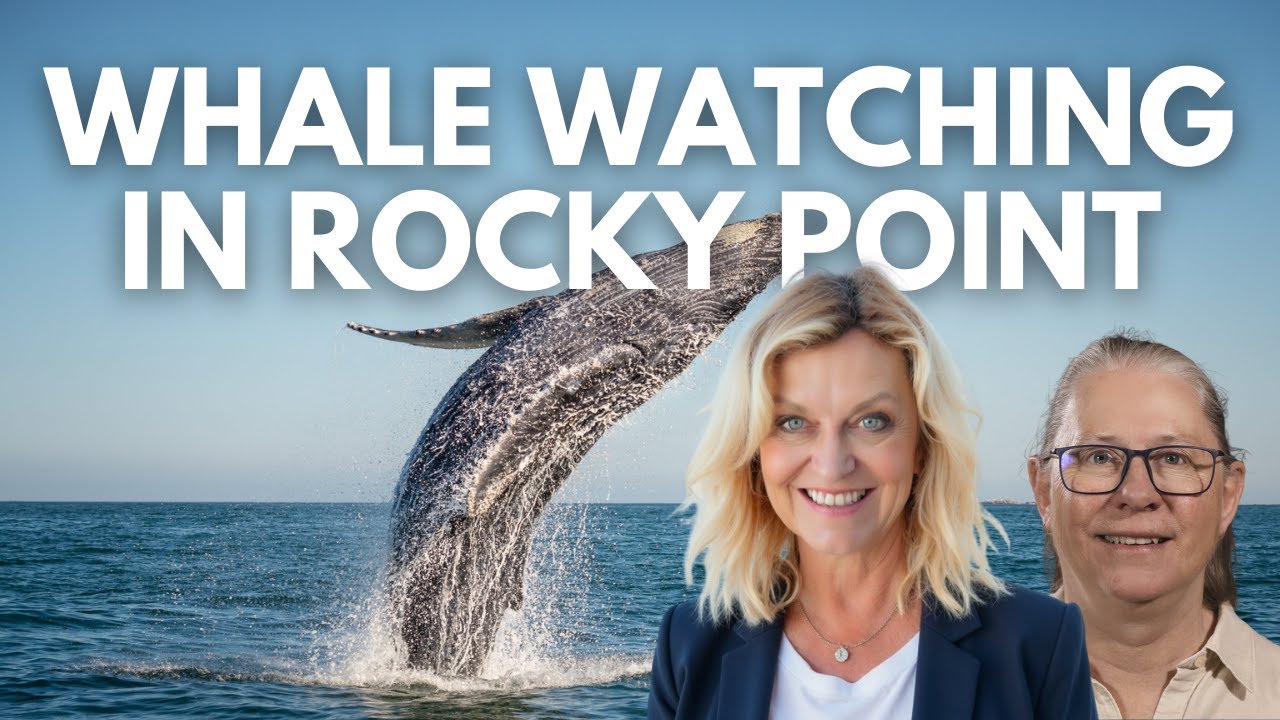 Spotting Giants: Dr. Gisela Heckel's Guide to Rocky Point Whale Season