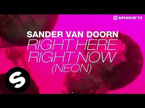 Sander van Doorn   Right Here Right Now Neon Lyric Video
