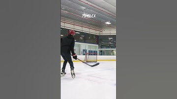 Testing EVERY ZT Pro Flex Stick – Which One Is BEST?