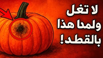 لا تفعل هذا باليقطين أبداً! 🚫 إنه خطأ فادح يتسبب في تعفن تسعة من كل عشرة محاصيل خلال شهر واحد فقط.