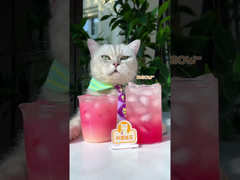 😉The Best Way To Make Pomegranate Juice! | Chef Cat Cooking #tiktok #Shorts