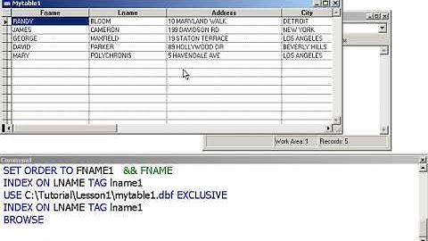 Learn Visual FoxPro @ garfieldhudson.com - Indexing Records (Lesson 9 of 30)
