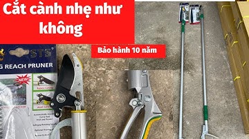 Test thực tế kéo cắt cành trên cao 3m thương hiệu SANTA nổi tiếng bền nhất giá tốt