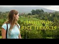 Бали | Рисовые террасы | Jatiluwih Rice Terraces